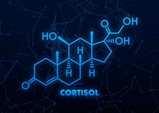cortisol-chemical-formula