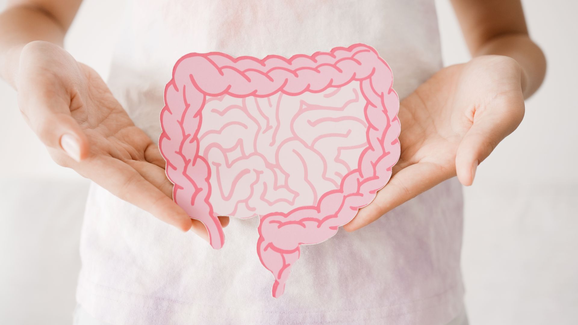 illustration of Gut health